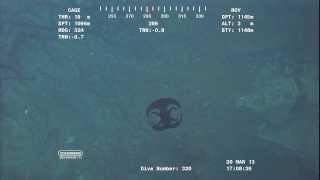 Alien looking creature transforming near Ocean floor at over 3700 feet.Video from ROV