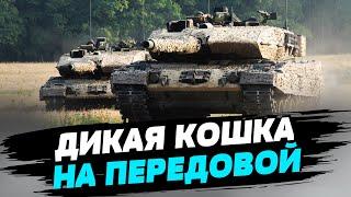 Россияне охотятся на них! Цель №1 на передовой: украинские Леопарды и как они работают