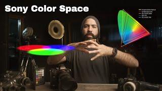 Sony Alpha PERFILES DE IMAGEN - ColorSpaceGamma EXPLICADO A7sII, A7III, a6500, FS7, FX9 A7SIII