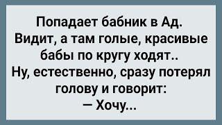 Попал Бабник в Ад! Сборник Свежих Анекдотов! Юмор!