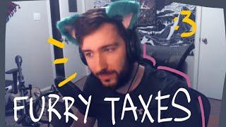 every time ster explained why you need to become a furry for the tax credits (ft. jerma)