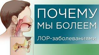 ПОЧЕМУ МЫ БОЛЕЕМ ЛОР-заболеваниями