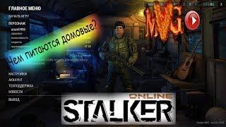 Stalker Online. Чем питаются домовые?