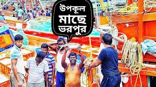 Namkhana fishing harbor | Namkhana-kakdwip fish market | Namkhana fishing trawler@somnathshil6406