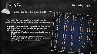 Capsule n°15 : les anomalies chromosomiques