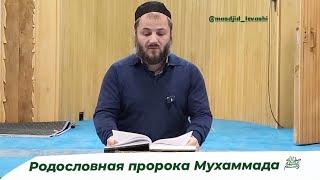 Родословная пророка Мухаммада ﷺ