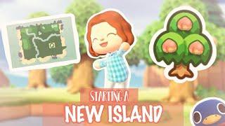 STARTING A NEW ISLAND   Day 1 | Animal Crossing New Horizons