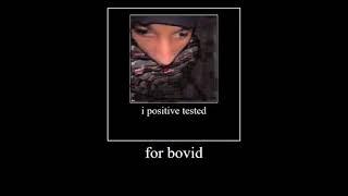 I povited tested for bovid