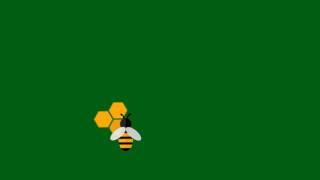 Animated Honey Bee Green Screen Adobe After Effects