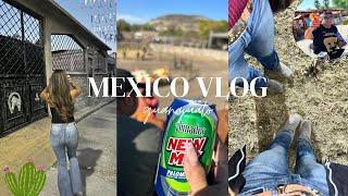 MEXICO VLOG: my last week in mexico  *desmadre everydayy