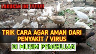 TRIK DAN CARA AMAN DARI PENYAKIT ATAU VIRUS DI MUSIM PENGHUJAN