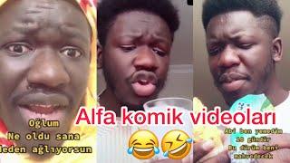 Alfa TikTok komik Videoları