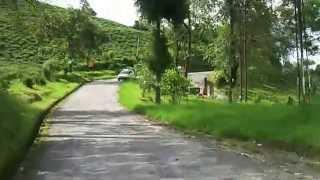 Damthang to Singtham - extreme view - natural beauty - Temi Tea Garden, SIKKIM.mp4