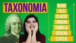 TAXONOMIA | SISTEMA DE CLASSIFICAÇÃO DOS SERES VIVOS | Resumo de Biologia para o Enem