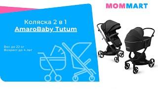 Коляска 2 в 1 с автоматическим тормозом AMAROBABY TUTUM 1