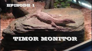 Timor Monitor - Episode 1