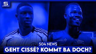 Cissé-Wechsel geplatzt! Bleibt Mulder Sportdirektor? Halbe Million für Ba? Noode geht! |  S04 NEWS