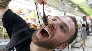 EXOTIC Mexican STREET FOOD in San Juan Market with MARIEL DE VIAJE | Mexico City, Mexico