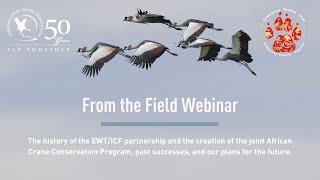 EWT/ICF From the Field Webinar