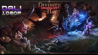Divinity: Original Sin 2 PC Gameplay 1080p 60fps