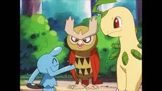 Bayleef And Noctowl Talk To Each Other