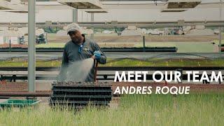 Meet Our Team | Andres Roque