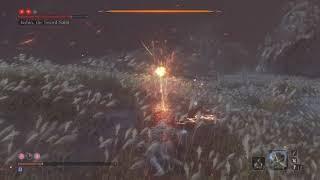 Sekiro: Shadows Die Twice Isshin, the sword saint (final boss) cheese