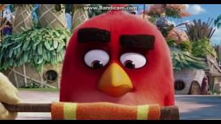 The Angry Birds Movie - Red going to Anger Management class (HD)