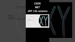 Sex Chromosomes NET JRF Life science#netjrf #neet2024