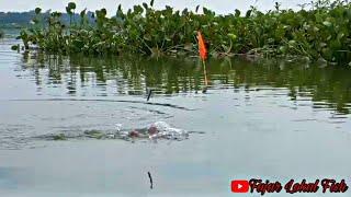 Waduk Cengklik TerbaruIkan Berot" Di Depan Mata || Mancing Waduk Cengklik