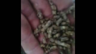 Гранулирования Отходов Льна! Flax Waste Granulation!