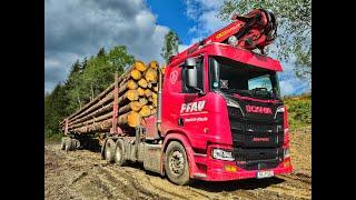  SCANIA V8 • Scania R580 V8 • Langholz-LKW • TimberTruck • LongVehicle • V8 Sound • Pfau • Truck