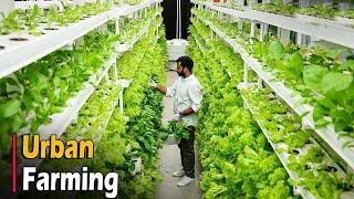 Urban Farming - Urban Agriculture