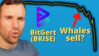 Why Bitgert is up ️ BRISE (BitRise) Crypto Token Analysis