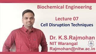 Lecture 7  Cell Lysis Cell Disruption Techniques