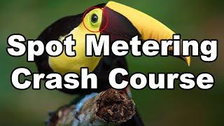 Spot Metering Crash Course