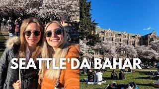 Seattle Günlükleri: Sakura Ağaçları, Yalancı Bahar ve Amerika'da Üniversite Turu