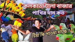 কলকাতা টালা বাজারে পাখির দাম || Galiff street birds market new price update  #4k