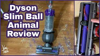 Dyson Slim Ball Animal Vacuum Review & Demo - UP16