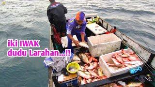 Gak nyangka dalam waktu setengah jam ikan gurih berserakan dilantai kapal..!!