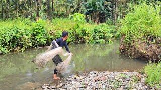 PERTAMA KALI JALA IKAN DI SUNGAI KECIL INI, HASILNYA BIKIN KETAGIHAN.!!! Best fishing nets video