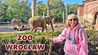 ZOO Wrocław | Poland | Africarium | Africarium | Zoo in Wrocław | 2023 | subtitles