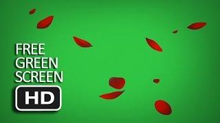 Free Green Screen - Falling Rose Petals