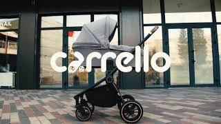Carrello Epica Details