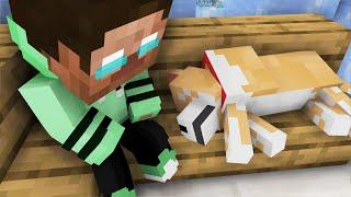 The Minecraft Life | RIP DOG | Sad Story With Happy Ending | Minecraft Animation