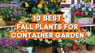 10 Fall Plants Perfect for Container Garden ️