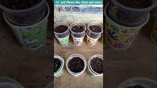 40 types of flower seeds online aero seeds | buy flower seeds in 5 ₹ each |  @GardeningwithRitz