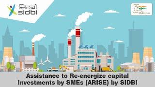 #SIDBI's ARISE scheme is launched for existing entities to undertake expansion of businesses.