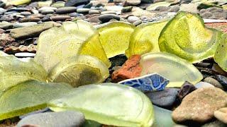 LIVE SEAGLASS HUNT... how many SEAGLASS BOTTLE BOTTOMS did I find!!