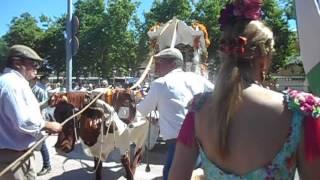 Romeria del Rocio Torrejon 2017